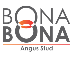 Bona Bona Angus Stud